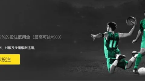 澳網混雙錦標誕新王！謝淑薇與傑林斯基力拼奪魁，共創歡呼勝局